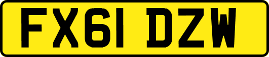 FX61DZW