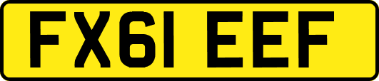 FX61EEF