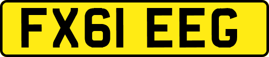 FX61EEG