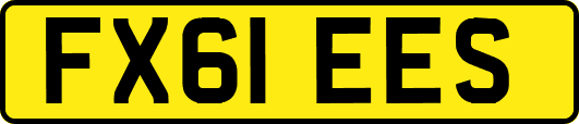 FX61EES
