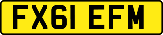 FX61EFM