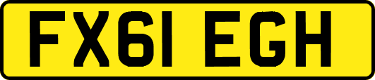FX61EGH