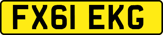 FX61EKG