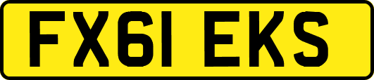 FX61EKS