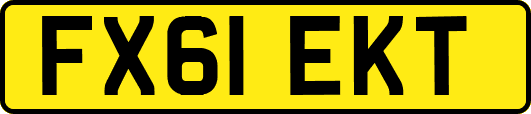 FX61EKT
