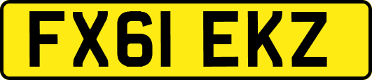 FX61EKZ
