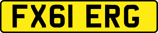 FX61ERG