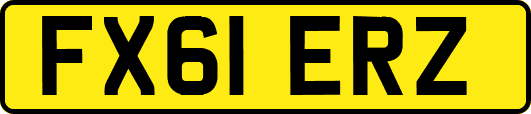 FX61ERZ