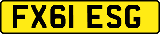 FX61ESG