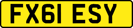 FX61ESY
