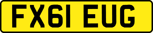 FX61EUG