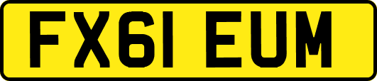 FX61EUM