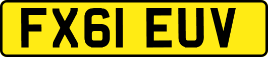 FX61EUV