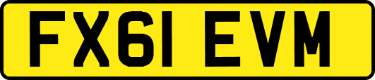 FX61EVM