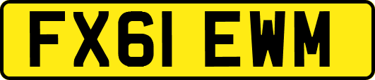FX61EWM