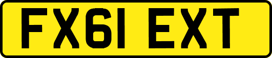 FX61EXT