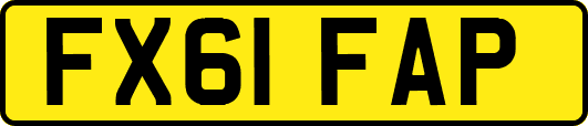 FX61FAP