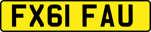FX61FAU