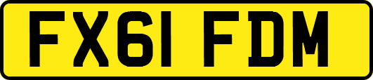 FX61FDM