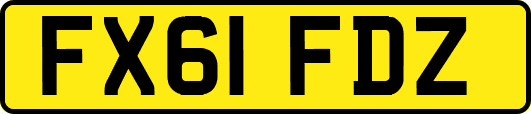 FX61FDZ