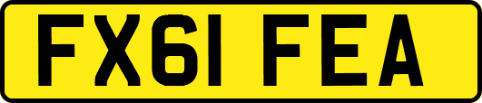 FX61FEA