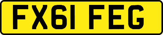 FX61FEG