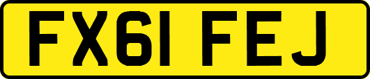 FX61FEJ