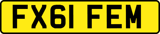 FX61FEM