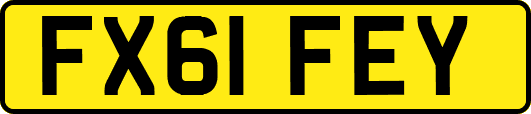 FX61FEY
