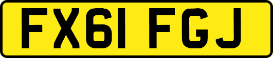 FX61FGJ