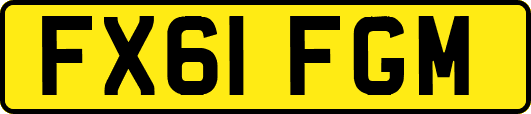 FX61FGM