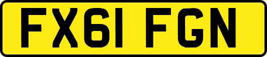 FX61FGN