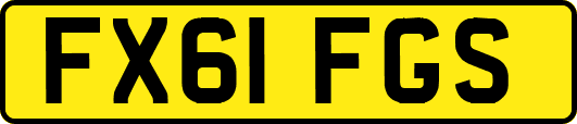 FX61FGS