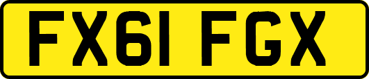 FX61FGX