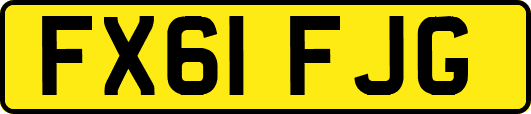 FX61FJG