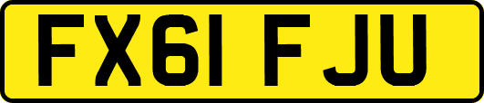 FX61FJU