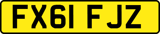 FX61FJZ