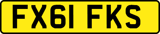 FX61FKS