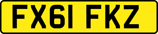 FX61FKZ