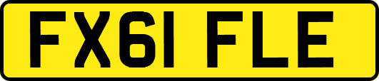 FX61FLE