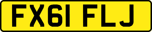 FX61FLJ