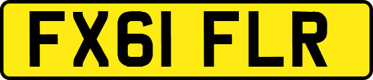 FX61FLR
