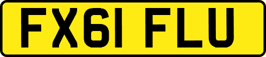 FX61FLU