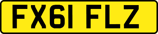 FX61FLZ