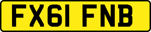 FX61FNB