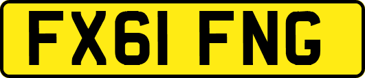 FX61FNG