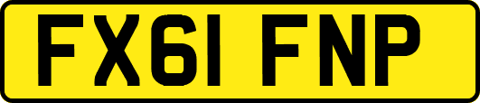 FX61FNP