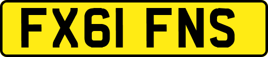 FX61FNS