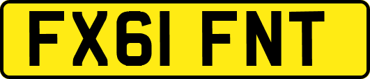 FX61FNT