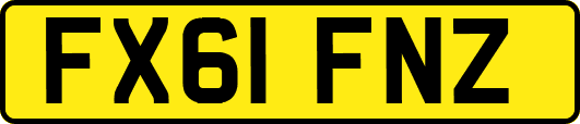 FX61FNZ